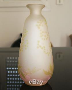 Authentique Vase Pate De Verre Art Nouveau Aux Ombelles Emile Galle Nancy 1900