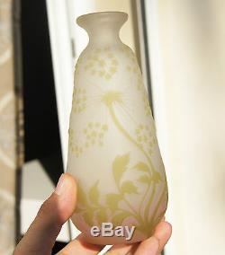 Authentique Vase Pate De Verre Art Nouveau Aux Ombelles Emile Galle Nancy 1900