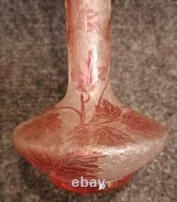 Ancien Vase Baccarat Églantier Rose Dégagé à L'acide Circa 1900 Art Nouveau
