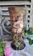 Ancien Vase En Verre Violet Legras Decor Emaille De Fleurs Pavots Art Nouveau
