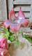 Ancien Vase Soliflore Art Nouveau En Verre Souffle En Forme De Fleurs De Couleur
