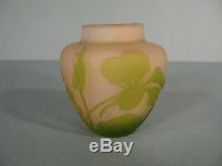 Ancien petit vase Art Nouveau décor fleurs pâte de verre signé Emile Gallé