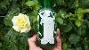 Antique European Art Nouveau Hand Blown Iridescent Glass Neo Classical Goddess Vase