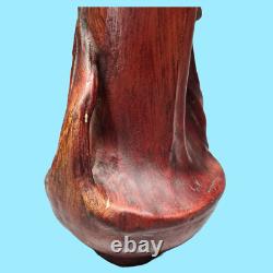 Antiquité Paire vases pots jarres art nouveau terre cuite G. Van Vaerenbergh