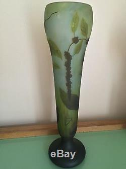 Authentique & Important Vase Art Nouveau 1900 Dégagé A L'acide Signé DAUM Nancy