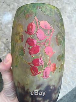 Authentique vase Art Nouveau Daum Nancy verre multicouche gravé a l'acide