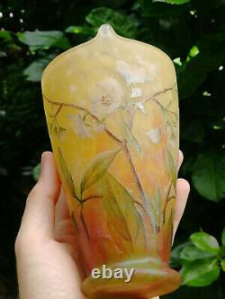 Authentique vase Daum Nancy Art Nouveau