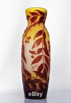 EMILE GALLÉ Grand & Gros Vase Décor BAIES Pâte de Verre Gravé ART NOUVEAU 31cm