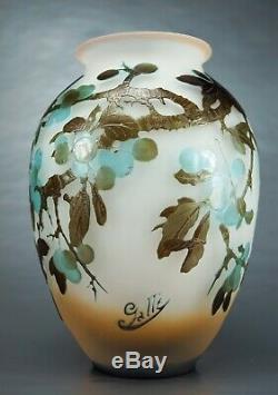 EMILE GALLÉ Rare Vase à décor de Prunellier Pâte de Verre Gravé ART NOUVEAU