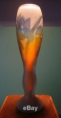 Emile Gallé rare vase art nouveau iris travail à la roue