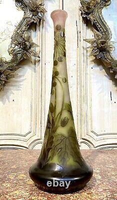 Émile Gallé Grand Vase Soliflore Aux Sureau, 44cm, Pate De Verre Art Nouveau