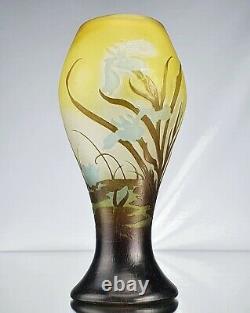 Emile Gallé Sublime Vase Iris & Nénuphars Pâte de Verre Gravé ART NOUVEAU