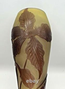 Emile Gallé grand vase art nouveau décor floral dégagé à l'acide-daum-muller