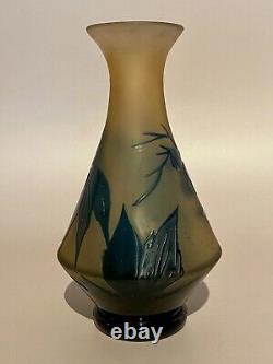 G Raspiller Vase Art Nouveau Verre Multicouche Dégagé Acide Ancien