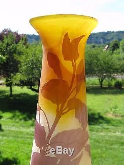 Grand vase signé Gallé en pâte de verre à décor d'ancolies
