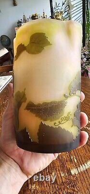 Joli Vase Art Nouveau GALLÉ Dégagé Acide Decor Branche De Noisetier Vers 1910