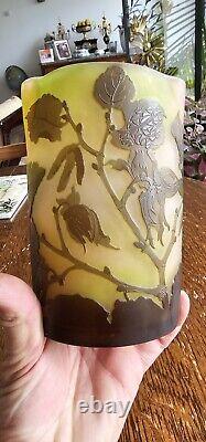 Joli Vase Art Nouveau GALLÉ Dégagé Acide Decor Branche De Noisetier Vers 1910
