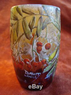 Rare Vase Signe Daum Nancy Art Nouveau France Grave A L'acide Multicouche