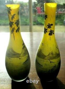 Rare Paire de vases en pâte de verre gravé acide fin XIXème art nouveau A. DUCOBU
