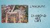 Unboxing De Diamond Paintings De Diamond Art Gift