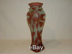 Vase Art Nouveau Cristal De Baccarat Decor Fleur Narcisse / Daum Legras St Louis