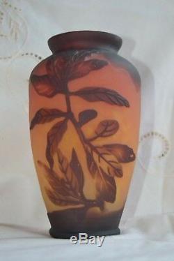 Vase Art Nouveau Déco verre dégagé à l'acide décor végétal Gallé Daum Richard