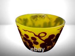 Vase Coupe Daum Nancy Art Nouveau en Verre Dégagé à l'Acide Décor de Vigne