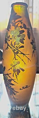 Vase Gallé aux aubépines Art nouveau 38cm de haut (Modèle très recherché!)