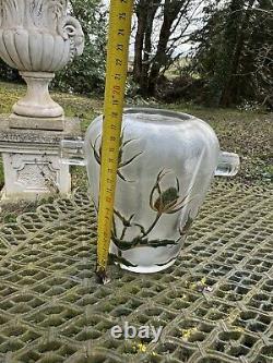 Vase Libellule & Chardons & Travail Français Verre Dégagé à l'Acide & Vers 1900