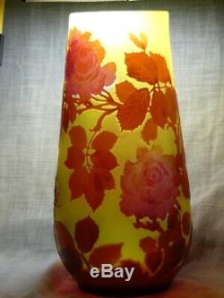 Vase Rosier sauvage émile Gallé 1846-1904 école d Nancy Art Nouveau verrerie