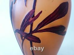 Vase art nouveau en verre dégagé à l'acide Fritz Heckert Boheme Gallé Daum