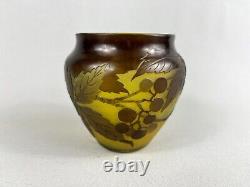 Vase balustre''à décor de Baies de Sureaux'' signé Gallé, début du XXème siècle